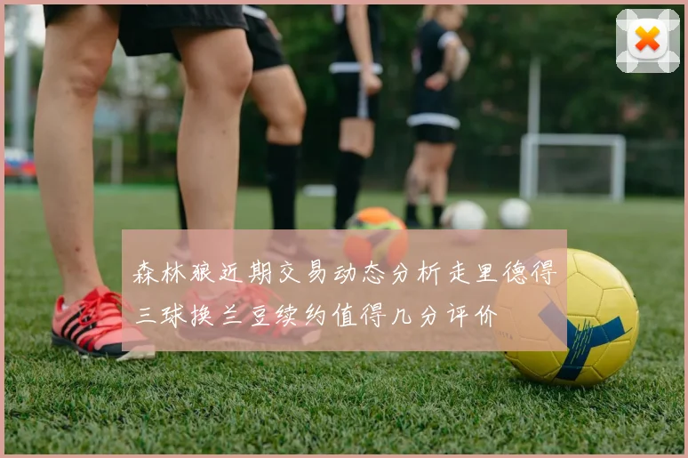 森林狼近期交易动态分析走里德得三球换兰豆续约值得几分评价