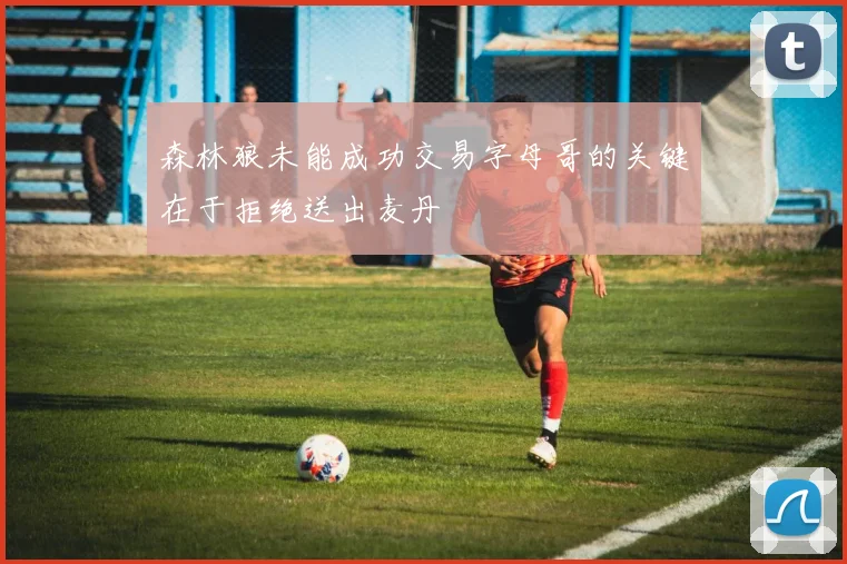 森林狼未能成功交易字母哥的关键在于拒绝送出麦丹